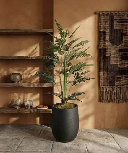 Decor & Plants